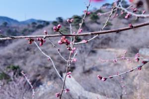 倒计时2天！北京康养2026北京昌平·延寿越野挑战赛开跑在即